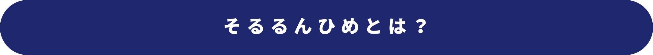 04 そるるんひめとは？