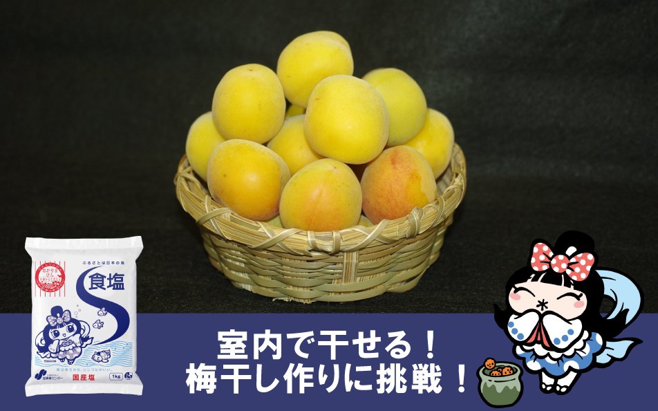 香りを気にせず室内で干せる!簡単!梅干し作りに挑戦!