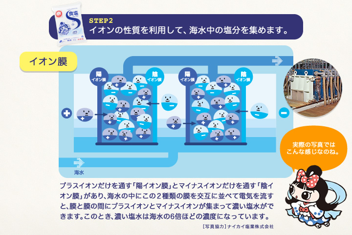 STEP2 イオン膜を使い、イオンの性質を利用して、海水中の塩分を集めます。プラスイオンだけを通す「陽イオン膜」とマイナスイオンだけを通す「陰イオン膜」があり、海水の中にこの２種類の膜を交互に並べて電気を流すと、膜と膜の間にプラスイオンとマイナスイオンが集まって濃い塩水ができます。このとき、濃い塩水は海水の6倍ほどの濃度になっています。