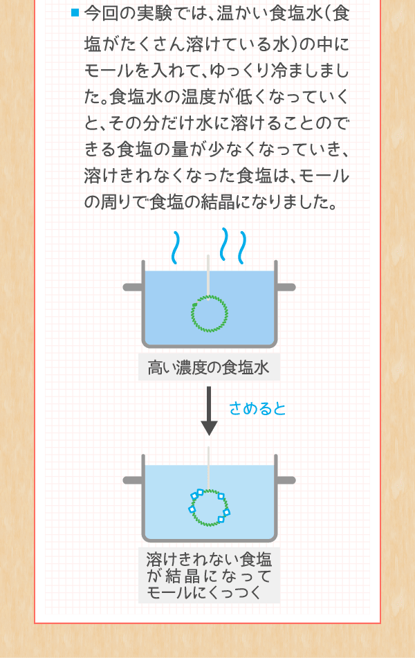 食塩の結晶工作をつくろう 塩の学習室 塩百科 公益財団法人塩事業センター